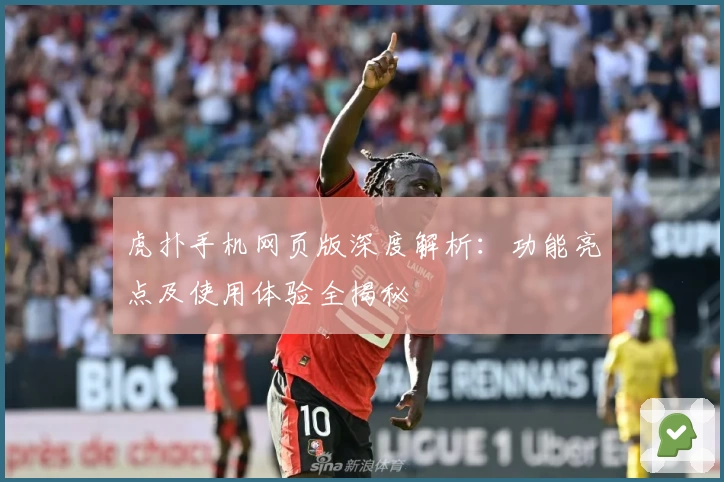 虎扑手机网页版深度解析：功能亮点及使用体验全揭秘